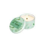 Loyal Anti Mosquito Candle