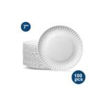 PAPER PLATE (100 PCS)
