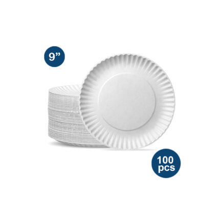 PAPER PLATE (100 PCS) 9"