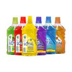 LOYAL Surface Cleaner 4x1 (ONE PCS)
