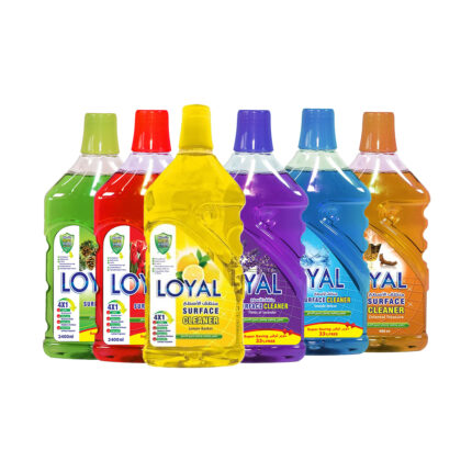 LOYAL Surface Cleaner 4x1 (ONE PCS)