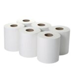 Softy Maxi Roll 700 GSM 2 Ply - 3 Rolls